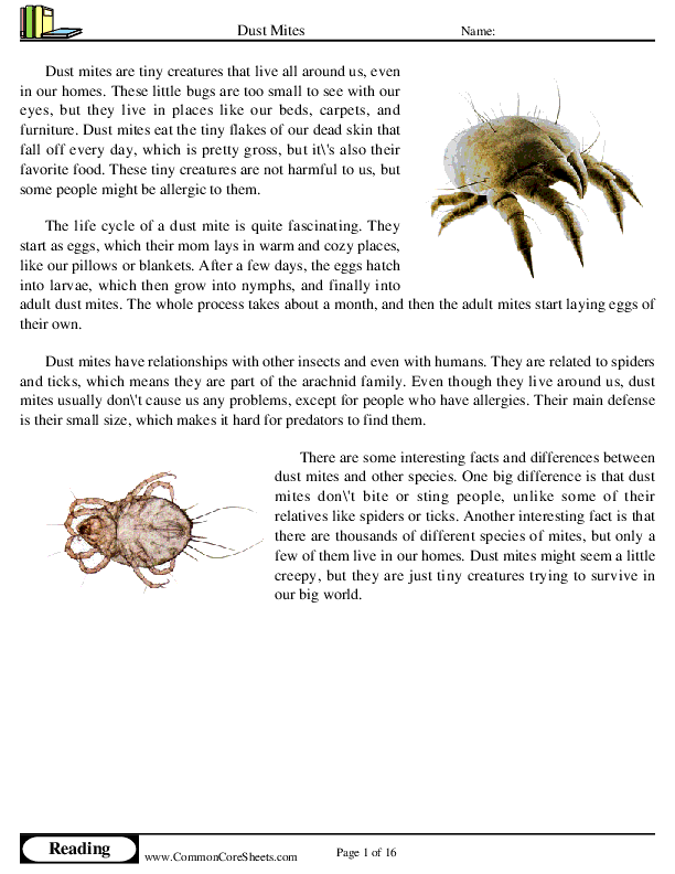  - dust-mites worksheet