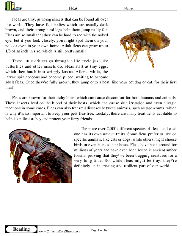  - fleas worksheet