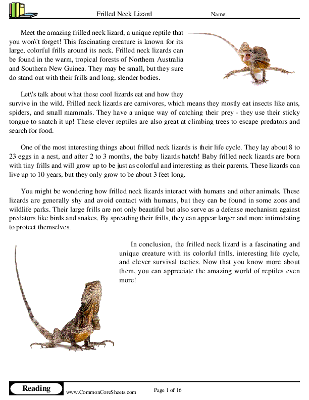  - frilled-neck-lizard worksheet