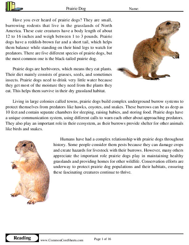  - prairie-dog worksheet