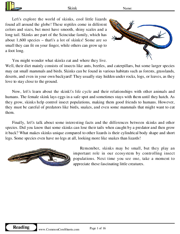  - skink worksheet