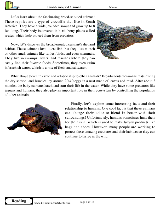  - broad-snouted-caiman worksheet